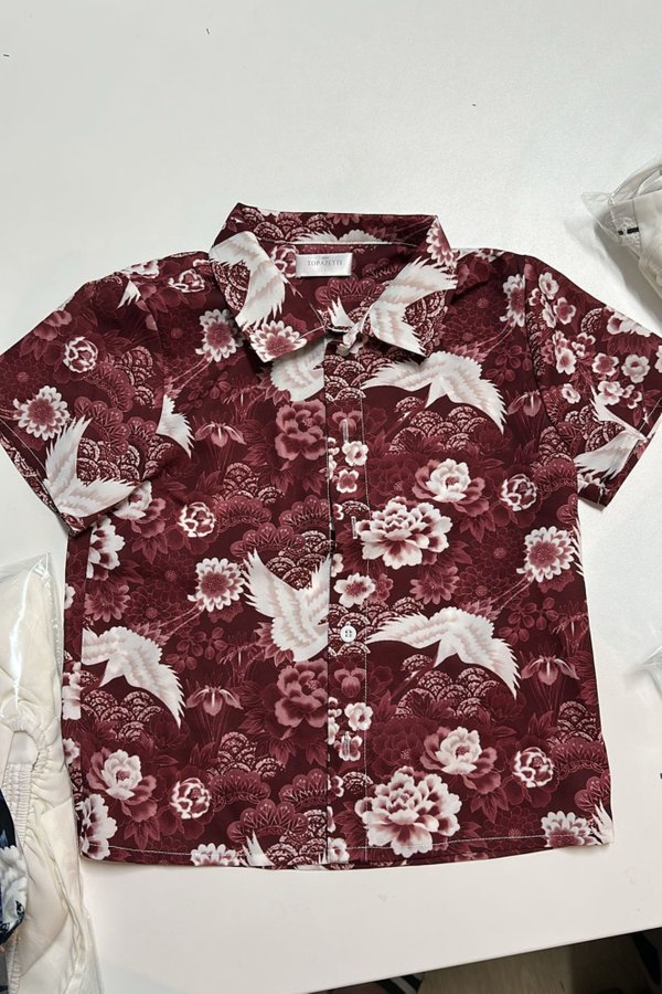 (PREORDER) *TPZ* DREMY UNISEX SHORT SLEEVES SHIRT (FLIGHT OF BLESSINGS COLOURS)