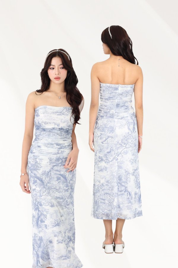 (PREORDER) *TPZ LUXE MESH* CASRELIA MAXI DRESS 2.0 (MULTIPLE COLOURS)